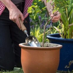 Featured Products -Hozelock Shop 1002024 1