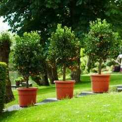 Elho Algarve Cilindro Wheels 40cm - Terracotta