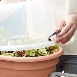 Elho Green Basics Flower Bridge Grow House 55cm -Hozelock Shop 1024663 4