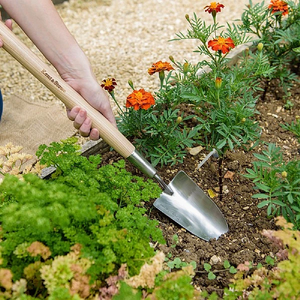 Kent & Stowe Stainless Steel Border Hand Trowel 4 Kent & Stowe Stainless Steel Border Hand Trowel - Image 2