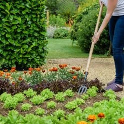 Featured Products -Hozelock Shop 1031071 1