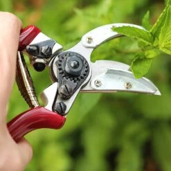 Kent & Stowe Rose Cut & Hold Secateurs 6 Kent & Stowe Rose Cut & Hold Secateurs -Hozelock Shop 1031091 1