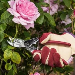 Kent & Stowe Rose Cut & Hold Secateurs 7 Kent & Stowe Rose Cut & Hold Secateurs -Hozelock Shop 1031091 2