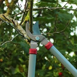 Kent & Stowe General Purpose Loppers -Hozelock Shop 1031094 3