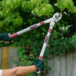 Kent & Stowe Telescopic Geared Anvil Loppers 6 Kent & Stowe Telescopic Geared Anvil Loppers -Hozelock Shop 1031097 1