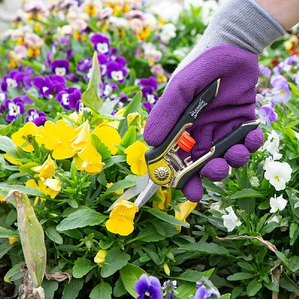 Wilkinson Sword Precision Pruner Twin Pack 4 Wilkinson Sword Precision Pruner Twin Pack - Image 2