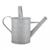 Fallen Fruits Old Zinc Watering Can 1.6L -Hozelock Shop 1077089