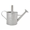Fallen Fruits Old Zinc Watering Can 8.7L -Hozelock Shop 1077092
