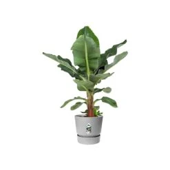 Elho Greenville Round Pot 30cm Living Concrete -Hozelock Shop 1112061 2