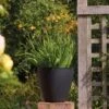 Stewart Garden 40cm Basalt Low Round Planter - Black 1 Stewart Garden 40cm Basalt Low Round Planter - Black -Hozelock Shop 1115429