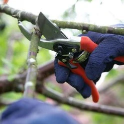 Wilkinson Sword Folding Pruner Saw & Pruner Set -Hozelock Shop 1140375 2