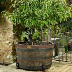 Jardinopia Plant Pot Feet Bronze Labrador - Set Of 3 -Hozelock Shop 1177293 3