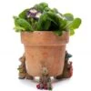Jardinopia Beatrix Potter Benjamin Bunny Plant Pot Feet - Set Of 3 -Hozelock Shop 1177317