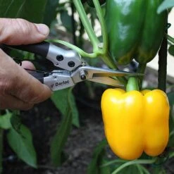 Darlac Compact Snips 6 Darlac Compact Snips -Hozelock Shop 1202076 2