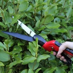 Darlac Swivel Shear 6 Darlac Swivel Shear -Hozelock Shop 1202078 2