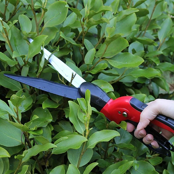 Darlac Swivel Shear 4 Darlac Swivel Shear - Image 2