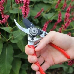 Darlac Small Bypass Pruner -Hozelock Shop 1202088 3