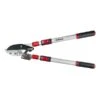Darlac Telescopic Ratchet Lopper -Hozelock Shop 1202099