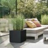 Elho Vivo Next Square Planter 30cm Living Black -Hozelock Shop 1230755