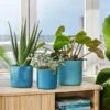 Elho The Ocean Collection Round Pot 22cm Atlantic Blue -Hozelock Shop 1230822