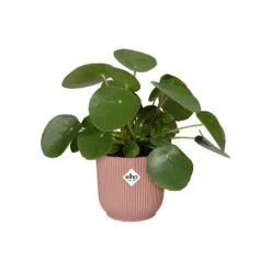 Elho Vibes Fold Round Planter 22cm Delicate Pink -Hozelock Shop 1230824 4