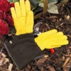 Gold Leaf Gents Tough Touch Gloves -Hozelock Shop 240108