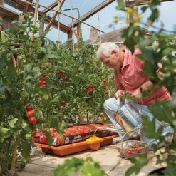 Hozelock Growbag Waterer -Hozelock Shop 771491 4