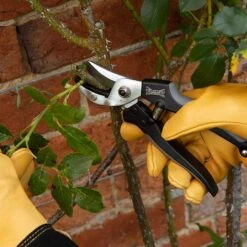 Wilkinson Sword Aluminium Anvil Pruners 7 Wilkinson Sword Aluminium Anvil Pruners -Hozelock Shop 787065 1