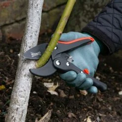 Wilkinson Sword Ratchet Anvil Pruner -Hozelock Shop 787068 1