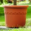 Elho Algarve Cilindro Planter With Wheels 48cm -Hozelock Shop ALG CIL WHEEL 48