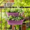 Elho Corsica Large Vertical Forest Planters - Set Of 2 (Various Colours) -Hozelock Shop CORFORLRG