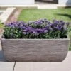 Cotswold Trough Planter 60cm -Hozelock Shop COTTRO60