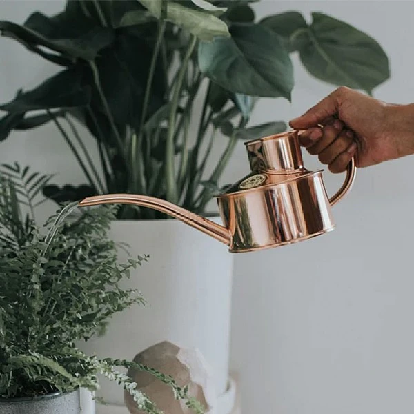 Haws Fazeley Flow 1 Pint Watering Can (Various Colours) 4 Haws Fazeley Flow 1 Pint Watering Can (Various Colours) - Image 2