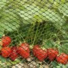 Smart Garden Multi-Mesh - Green - Various Sizes -Hozelock Shop MULTIMESH