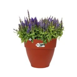 Elho Vibia Campana Round 47cm Planter (Various Colours) -Hozelock Shop VICAM47 1